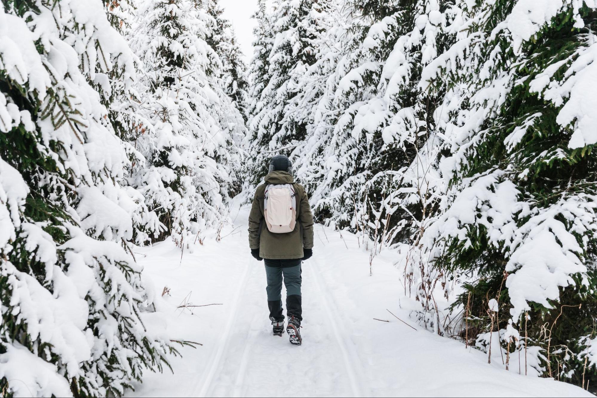 invierno en canada