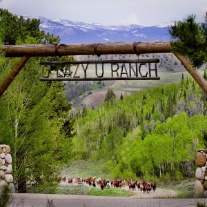 C Lazy U Ranch